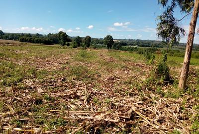 1 ac Land at Ngata - 2