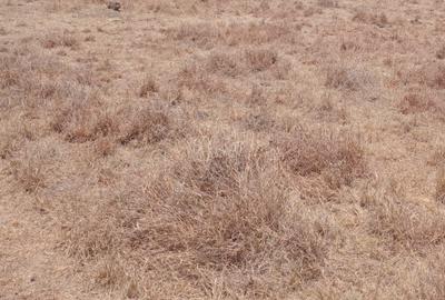 5 ac Residential Land in Ongata Rongai - 2