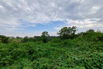 Commercial Land at Redhil Road