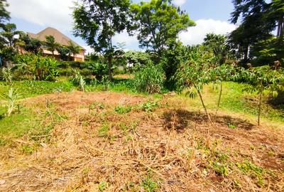 Land in Kiambu Road - 3