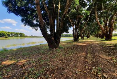 0.0500 ha Residential Land in Juja