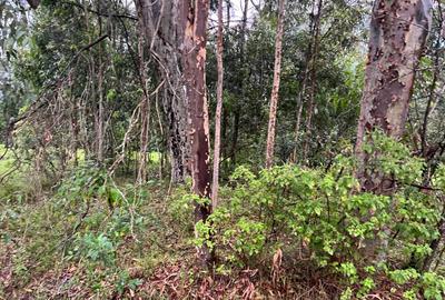 10 ac Commercial Land at Langata South Road