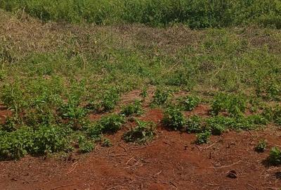 0.25 ac Land in Ngong
