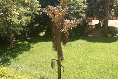 3 Bed House with En Suite in Runda