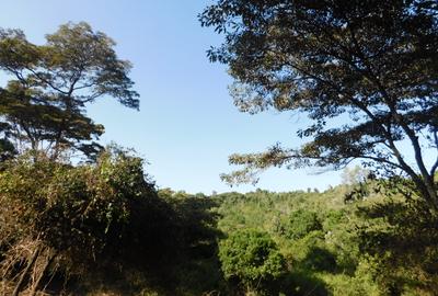 Residential Land at Karen