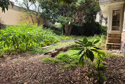 Land in Upper Hill - 3