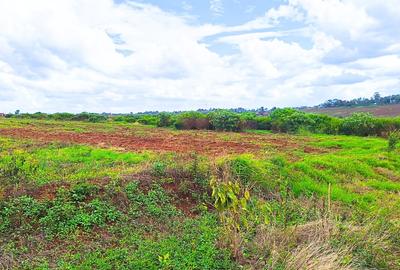 1 ac Commercial Land at Ruiru