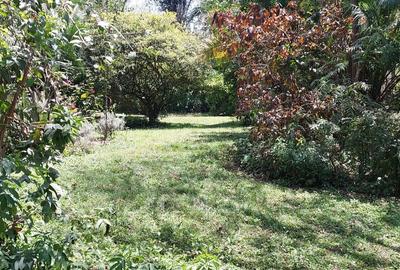 0.5 ac Land at Runda Ridge