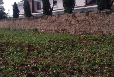 0.5 ac Land in Runda - 4