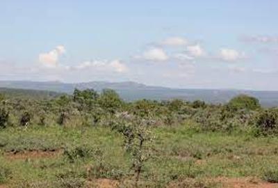 86.8 ac Land at Munyaka