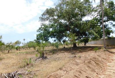 10,000 ft² Land in Vipingo