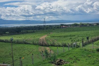 Land in Naivasha