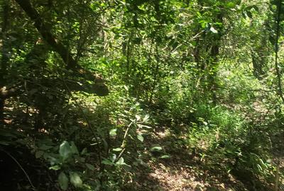 1.5 ac Land in Karen