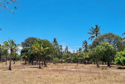 1 ac Land at Creek Beach Side