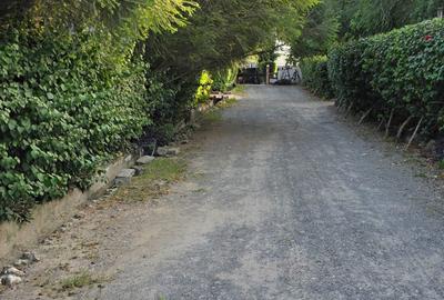 3 Bed House with En Suite at Milimani Area - 2