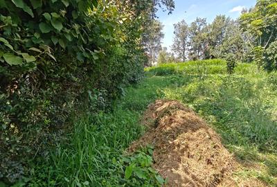 1.1 ac Land in Karen - 2