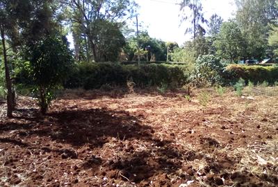 Land at Kiambu