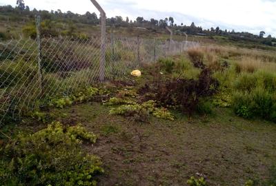 10 ac Land at Naromoru - Munyu