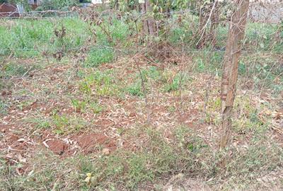 0.25 ac Land at Dagoretti Road