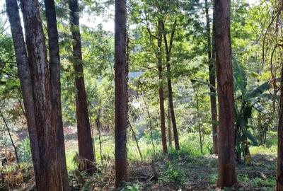 0.5 ac Land at Kirawa Road - 3