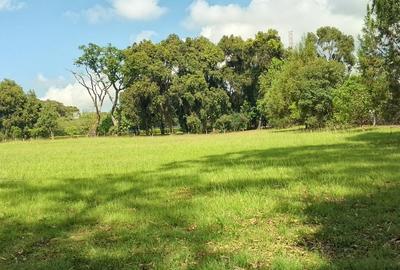 1 ac Land in Karen - 2