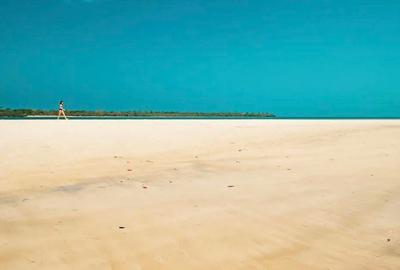 Land at Funzi Island. Limited Parcels Of Land For Sale On Funzi Island - 4