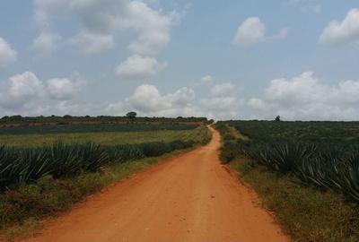 8.5 ha Land at Ls2295 - 4