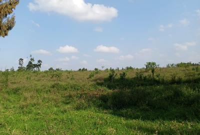 Land in Kikuyu Town - 2