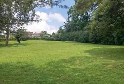 1 ac Residential Land in Karen