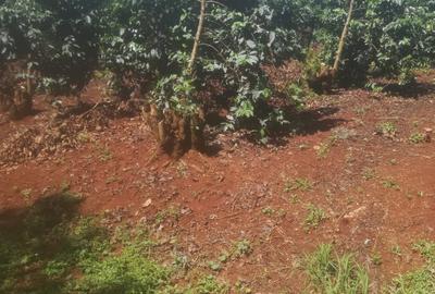 550 ac Land at Kiambu County