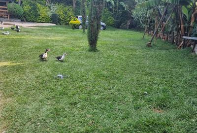 4 Bed House with Garden at Ngong