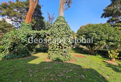 4 Bed Villa with En Suite in Nyari - 4