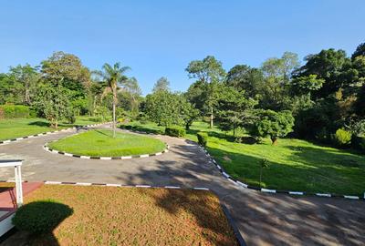 6 Bed House with En Suite in Rosslyn - 2