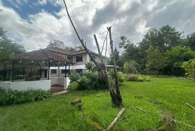 Commercial Property with Fibre Internet at Lavington Green