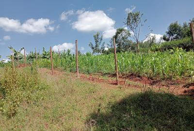 0.125 ac Land in Banana