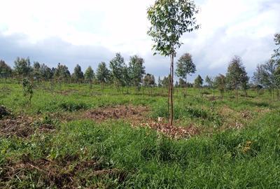 Land at Riara Ridge - 4