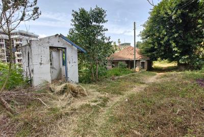 1.1 ft² Commercial Land in Westlands Area - 2