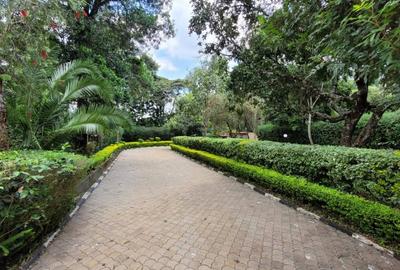 Commercial Property with Service Charge Included at Karen