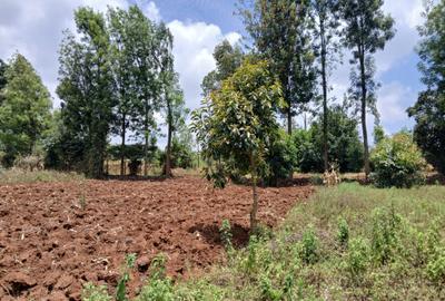 0.05 ha Residential Land at Gikambura