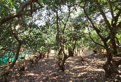 4 Bed House with En Suite at Loresho Loresho - 4