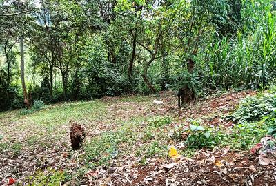 0.741 ac Land in Ruaka - 4