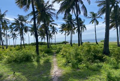 Land in Kikambala