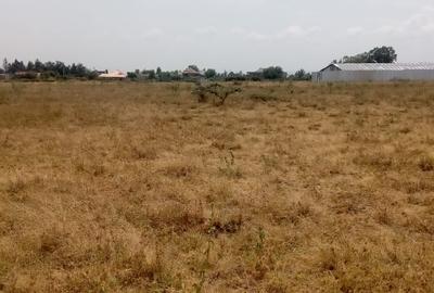 1 ac Residential Land at Sifa Estate