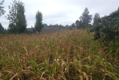 0.10 ha Land at Olkeri - 2