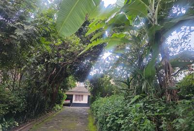 Land in Lavington - 3