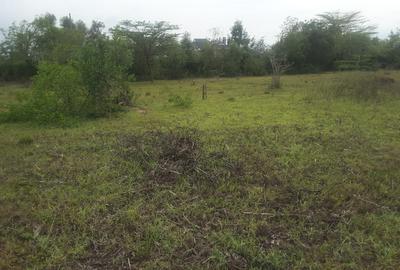 0.5 ac Residential Land in Karen