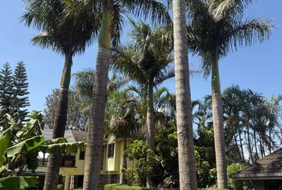 5 Bed House with En Suite in Kitisuru - 3