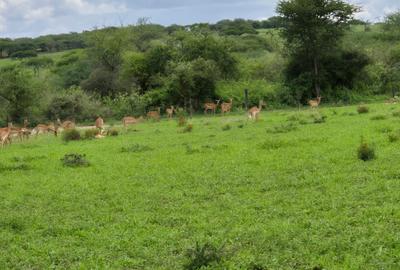 Residential Land in Bisil