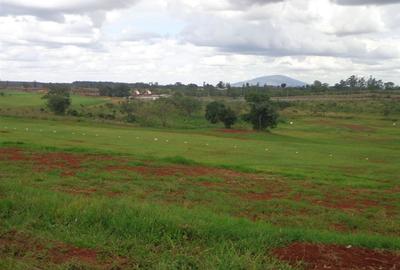 1,000 m² Land at Thika Greens