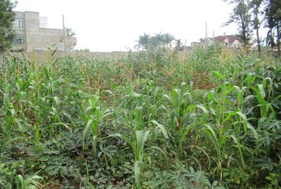 Residential Land at Mushroom Gardens